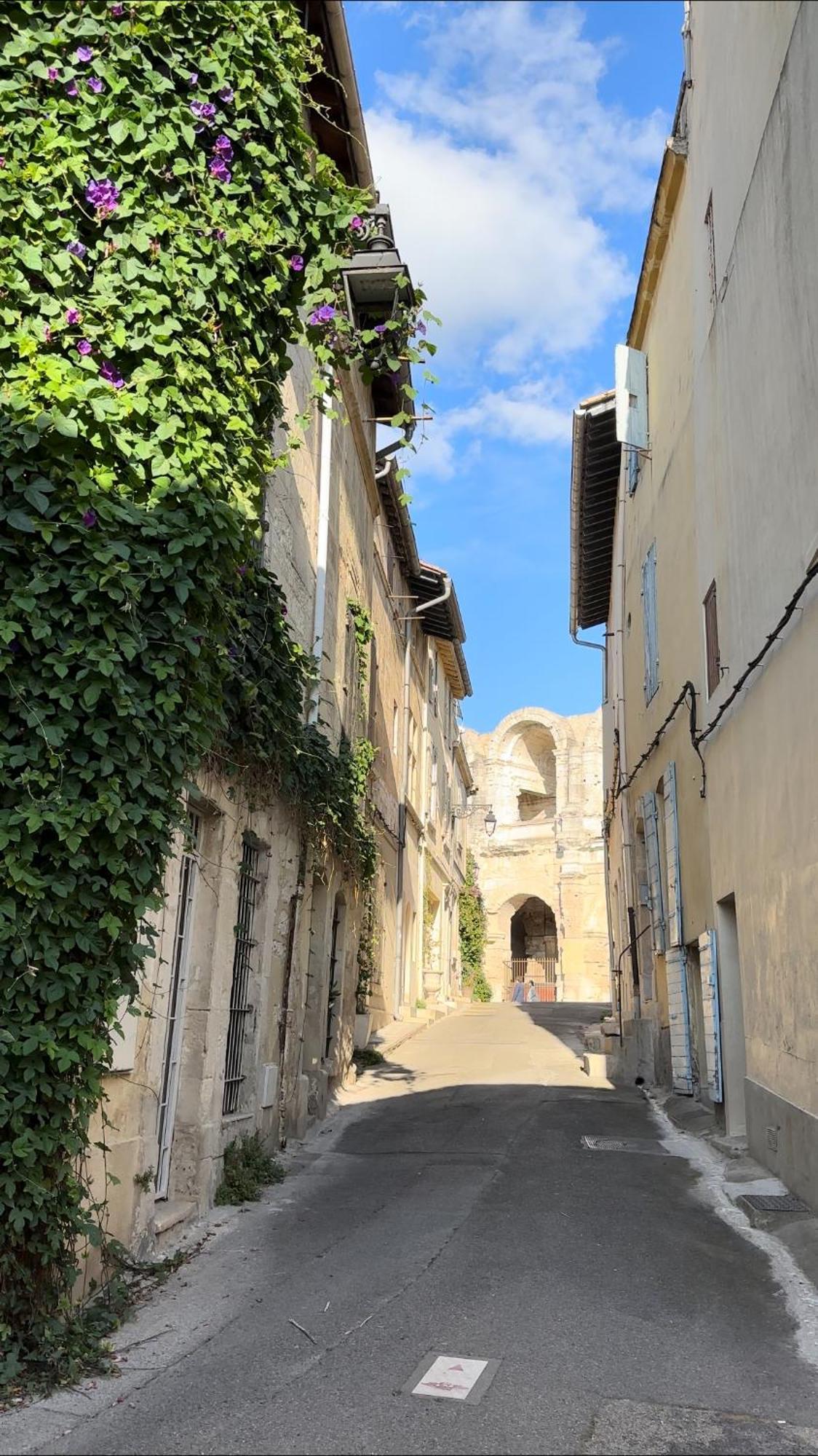 La Maison Des Hautures Arles Exteriér fotografie